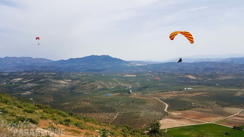 FA13.19 Algodonales-Paragliding-173