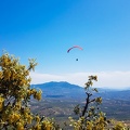 FA13.19 Algodonales-Paragliding-275