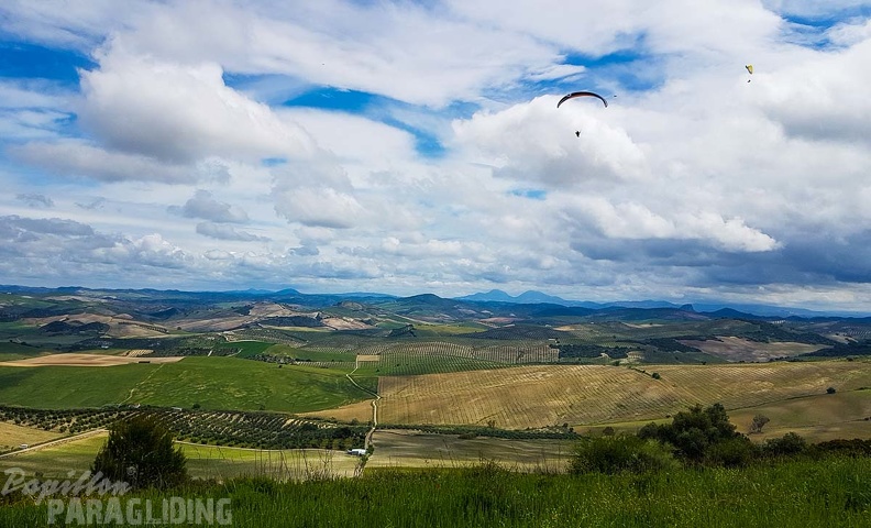FA16.19_Algodonales-Paragliding-330.jpg