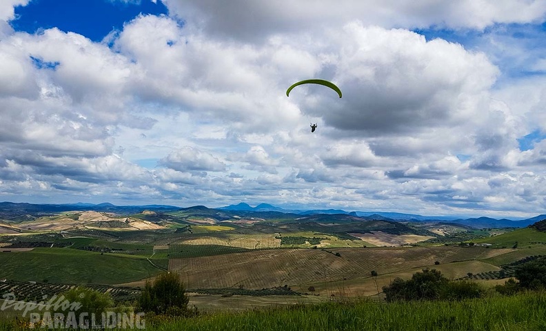 FA16.19 Algodonales-Paragliding-336