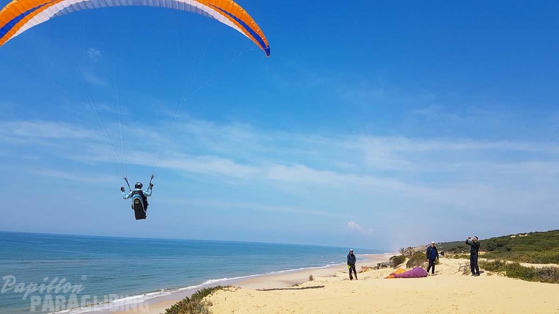 FA17.19_Paragliding-Papillon-Algodonales-119.jpg