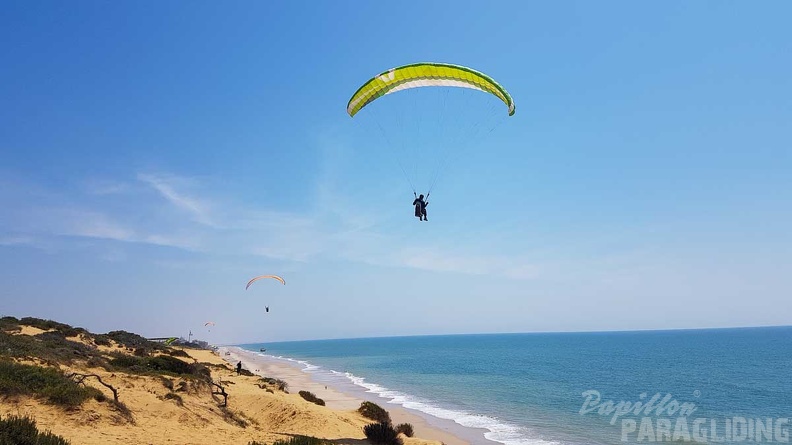 FA17.19 Paragliding-Papillon-Algodonales-152