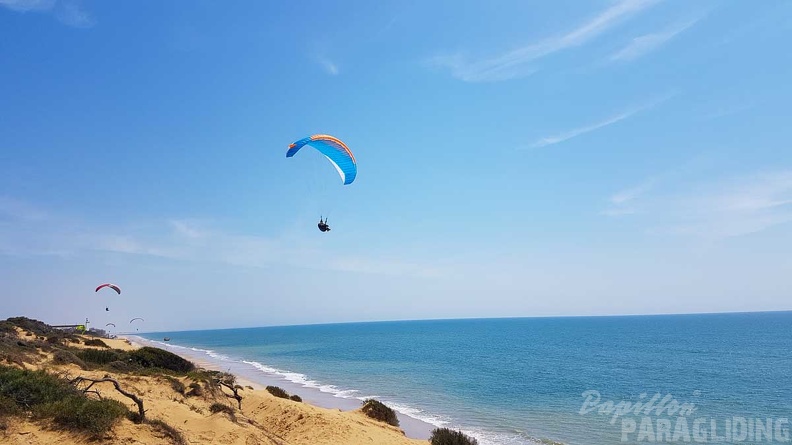 FA17.19 Paragliding-Papillon-Algodonales-157