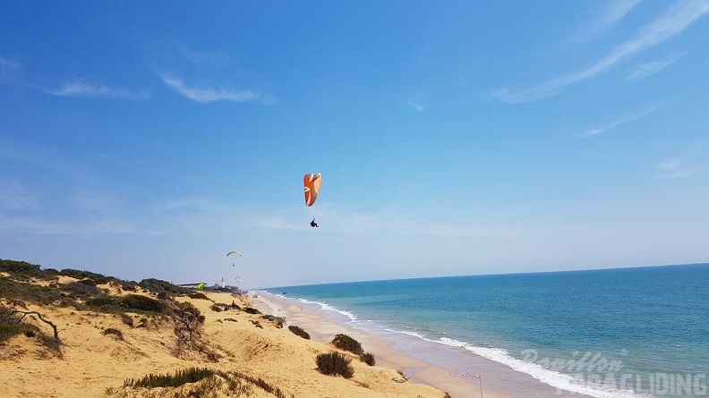 FA17.19_Paragliding-Papillon-Algodonales-161.jpg