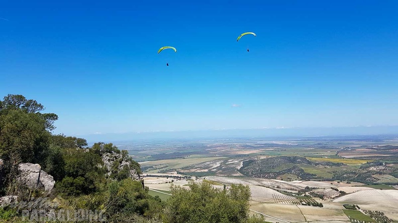 FA17.19_Paragliding-Papillon-Algodonales-208.jpg