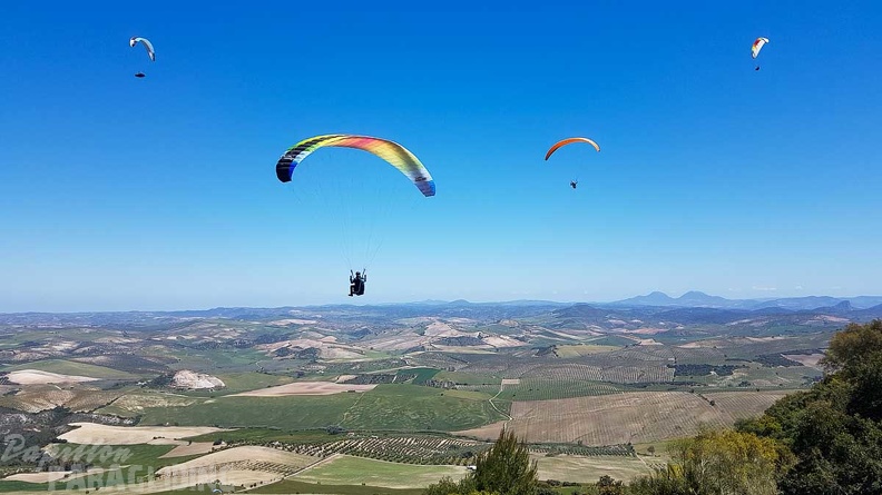 FA17.19_Paragliding-Papillon-Algodonales-211.jpg