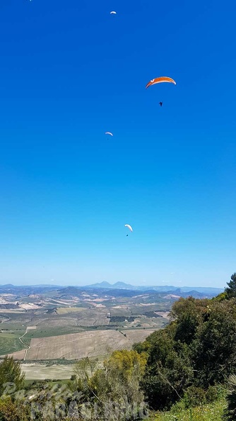 FA17.19_Paragliding-Papillon-Algodonales-221.jpg