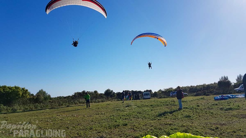 FA17.19_Paragliding-Papillon-Algodonales-238.jpg