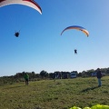FA17.19 Paragliding-Papillon-Algodonales-238