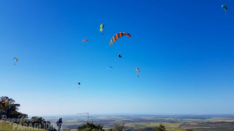 FA17.19_Paragliding-Papillon-Algodonales-239.jpg