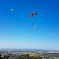 FA17.19 Paragliding-Papillon-Algodonales-240