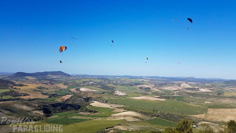 FA17.19_Paragliding-Papillon-Algodonales-256.jpg