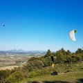 FA17.19 Paragliding-Papillon-Algodonales-258