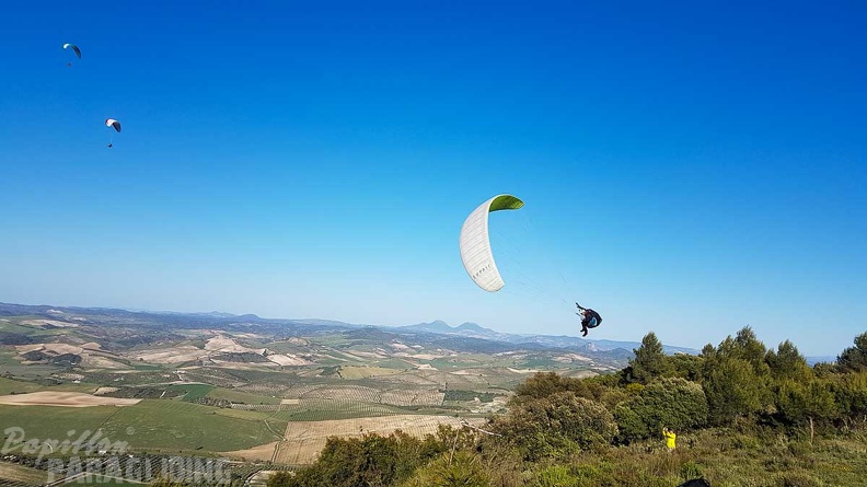 FA17.19_Paragliding-Papillon-Algodonales-260.jpg