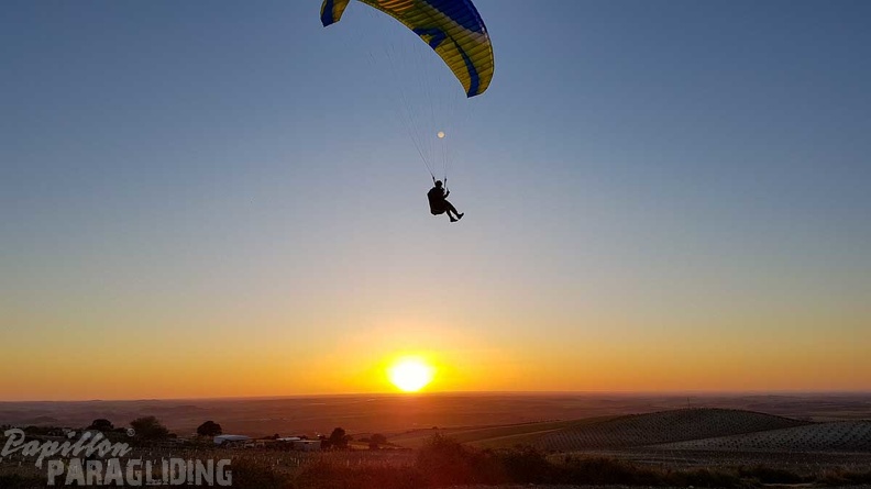 FA17.19_Paragliding-Papillon-Algodonales-268.jpg