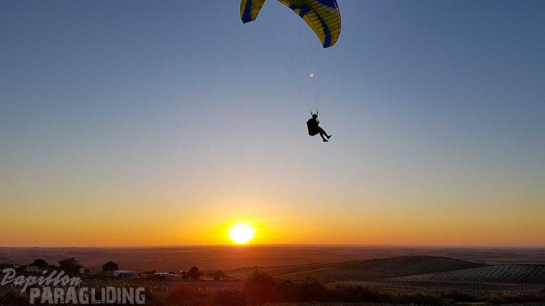 FA17.19_Paragliding-Papillon-Algodonales-269.jpg