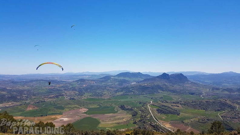 FA17.19 Paragliding-Papillon-Algodonales-278