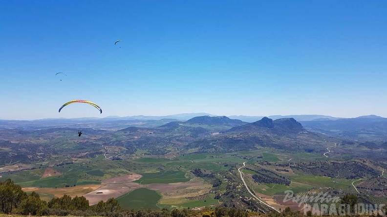 FA17.19 Paragliding-Papillon-Algodonales-278