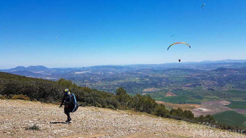 FA17.19 Paragliding-Papillon-Algodonales-279