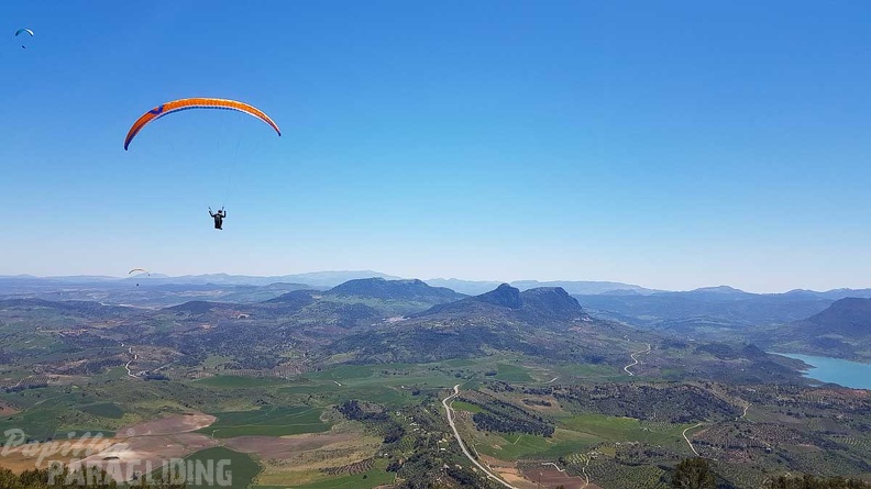 FA17.19 Paragliding-Papillon-Algodonales-283