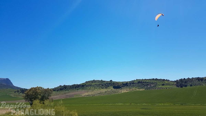 FA17.19_Paragliding-Papillon-Algodonales-285.jpg