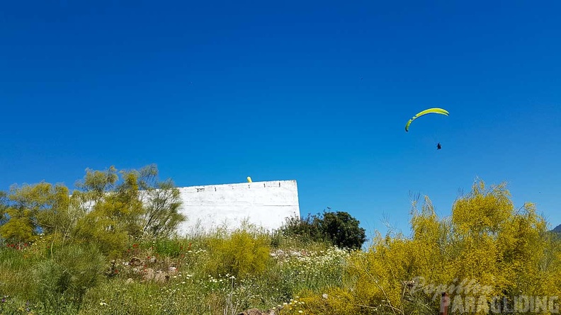 FA17.19 Paragliding-Papillon-Algodonales-289