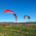 FA2.19 Algodonales-Paragliding-1048