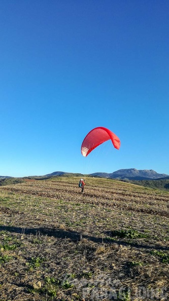 FA2.19 Algodonales-Paragliding-1063