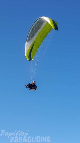 FA2.19 Algodonales-Paragliding-1198