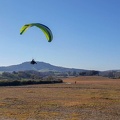 FA2.19 Algodonales-Paragliding-1199