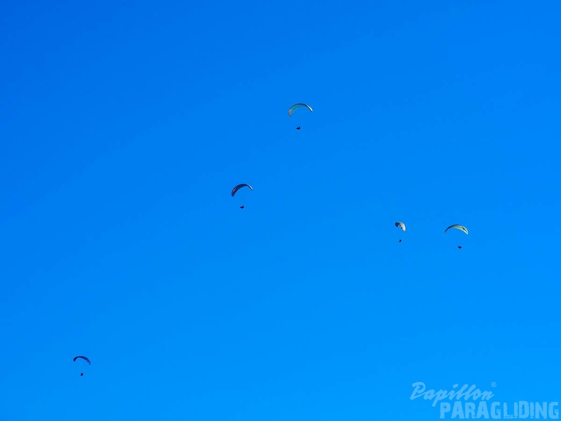 FA2.19 Algodonales-Paragliding-1381