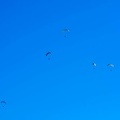 FA2.19 Algodonales-Paragliding-1381