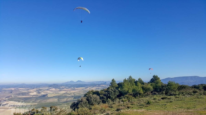 FA2.19 Algodonales-Paragliding-1416