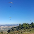 FA2.19 Algodonales-Paragliding-1416