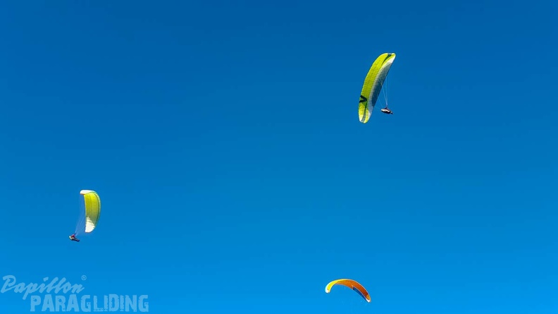 FA2.19 Algodonales-Paragliding-1417