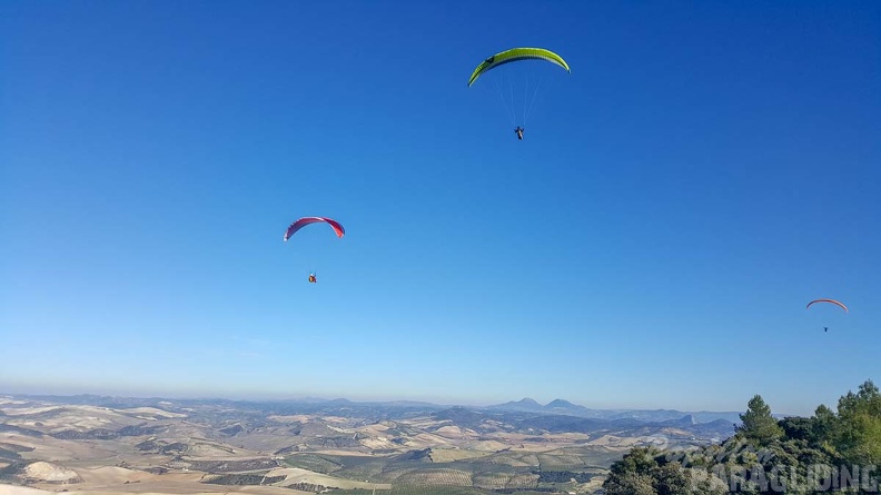 FA2.19 Algodonales-Paragliding-1429