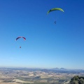 FA2.19 Algodonales-Paragliding-1429