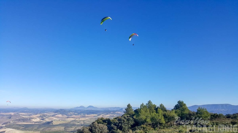 FA2.19 Algodonales-Paragliding-1431