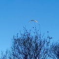 FA2.19 Algodonales-Paragliding-1446