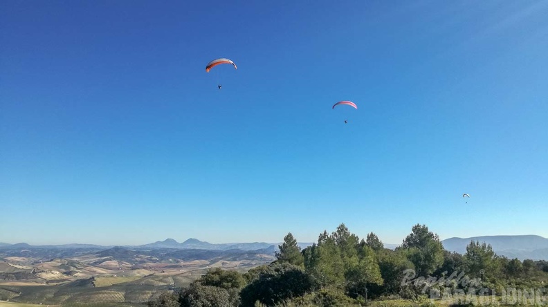 FA2.19 Algodonales-Paragliding-1454