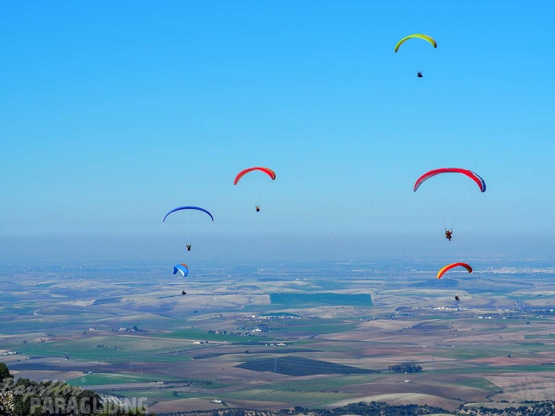 FA2.19 Algodonales-Paragliding-1469