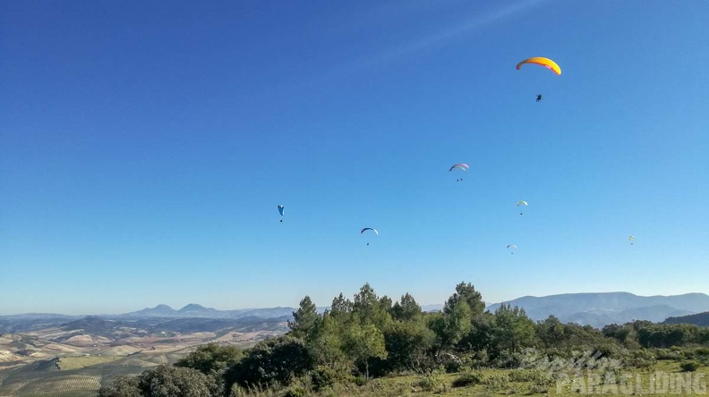 FA2.19 Algodonales-Paragliding-1477