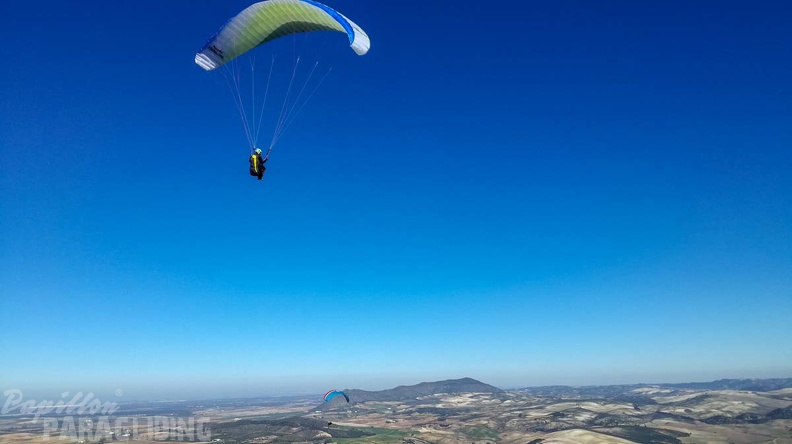 FA2.19 Algodonales-Paragliding-1482