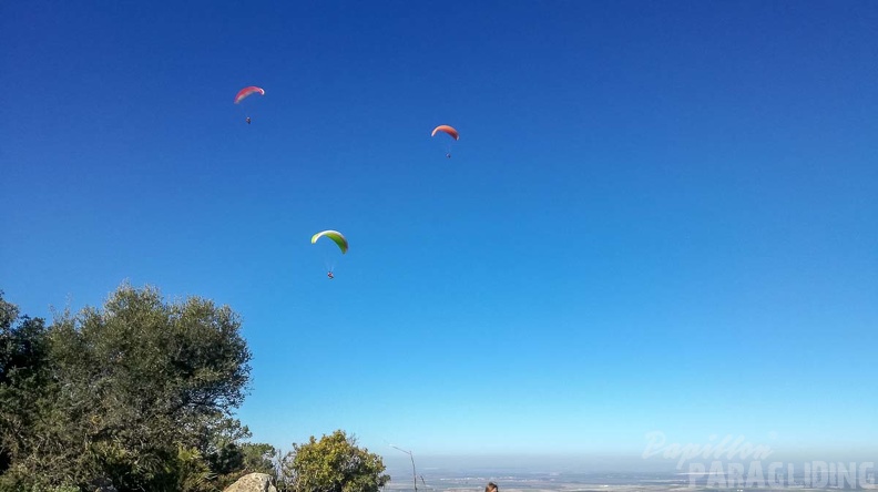 FA2.19 Algodonales-Paragliding-1483