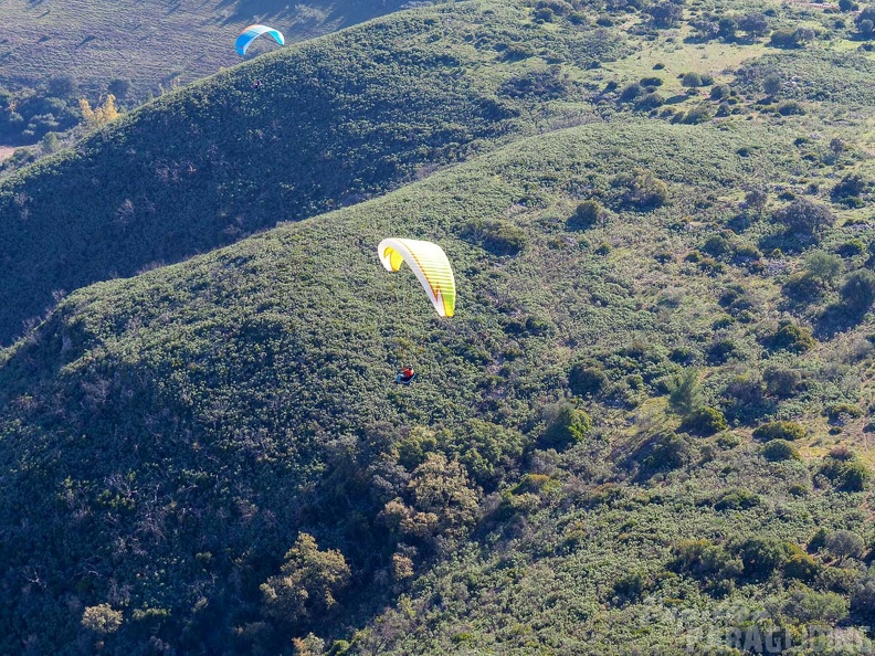 FA2.19 Algodonales-Paragliding-1490