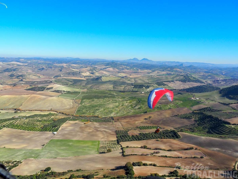 FA2.19 Algodonales-Paragliding-1509