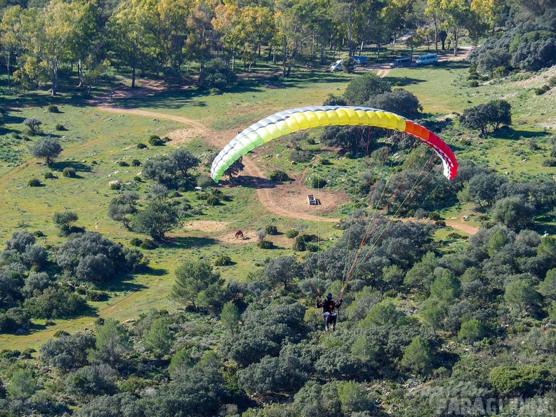 FA2.19 Algodonales-Paragliding-1518