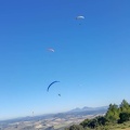FA2.19 Algodonales-Paragliding-1524
