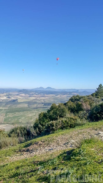 FA2.19 Algodonales-Paragliding-1531