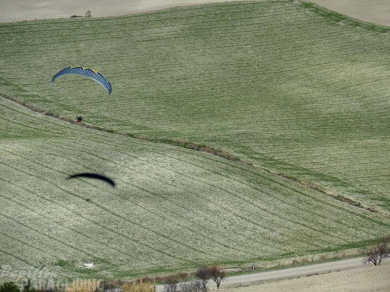 FA2.19 Algodonales-Paragliding-1555